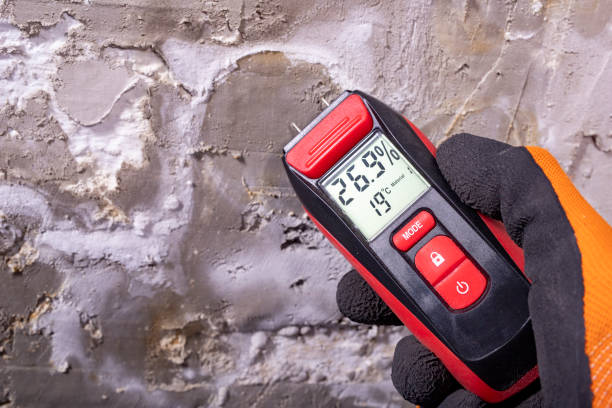 Best Local Mold Removal Service  in Lexington, SC