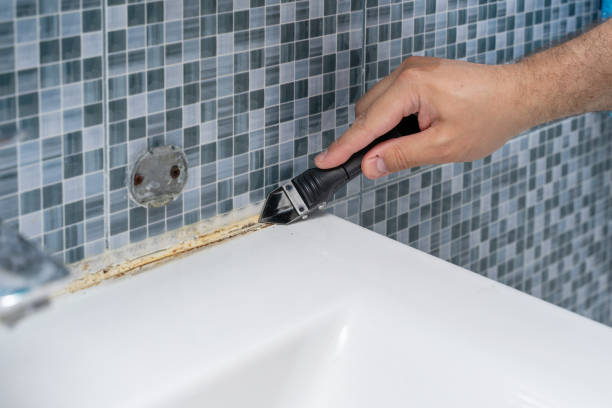  Lexington, SC Mold Removal Pros